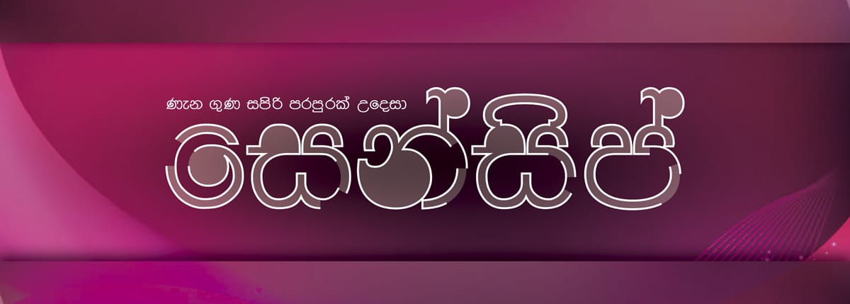 Mr. Shasheth C Jayakody